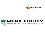 MEGA EQUITY