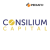 Consilium