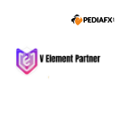 V Element Partner
