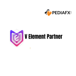 V Element Partner