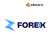 Z Forex