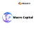 Macro Capital Group Ltd