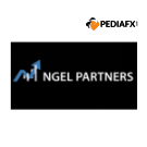 Ngel Partners