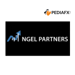 Ngel Partners