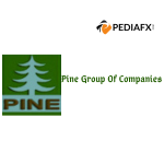 Pinus