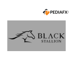 Black Stallion