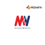 M&V Investments