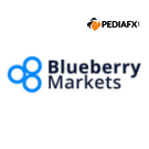 Blueberry Markets