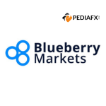 Blueberry Markets