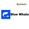 Blue Whale