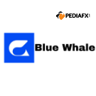 Blue Whale