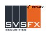 SVSFX 外汇