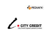 CITY CREDIT