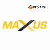 Maxus Global Market