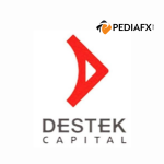 Destek