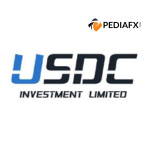 การลงทุน USDC