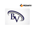 BV Partners