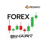 FOREX BINARY