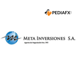 META INVERSIONES