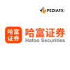 Hafoo Securities