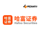 Hafoo Securities