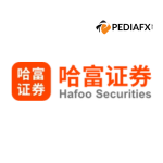 Hafoo Securities