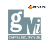 GMI Securities