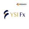 YSI FX