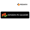 Springfxmarket