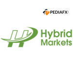 Hybrid Markets