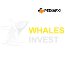 Whaleinvest