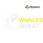 Whaleinvest