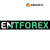 ENTFOREX