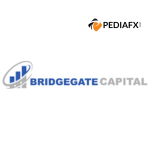 Bridge Gate Capital