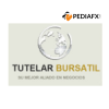 TUTELAR BURSATIL