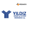 YILDIZ DOVIZ และ YETKILI MUESSESE AS