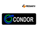 Condor Capital markets