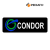 Condor Capital markets