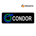 Condor Capital markets