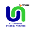 Universe Synergy Futures