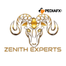 Zenith Experts