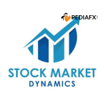 Stock Market Dynamics