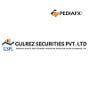 Gulrez Securities