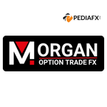 Morgan Option Trade Fx